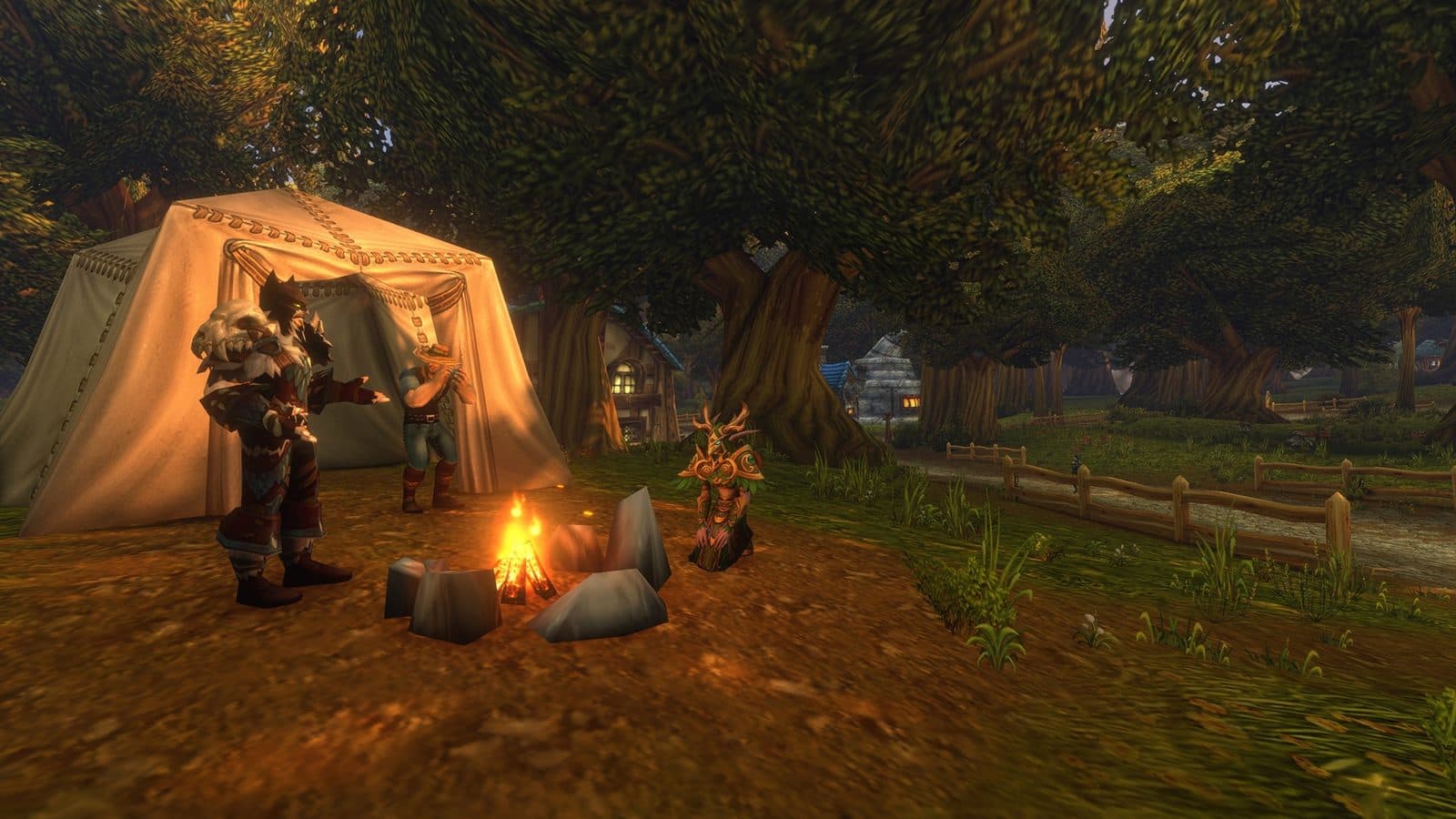 Camping